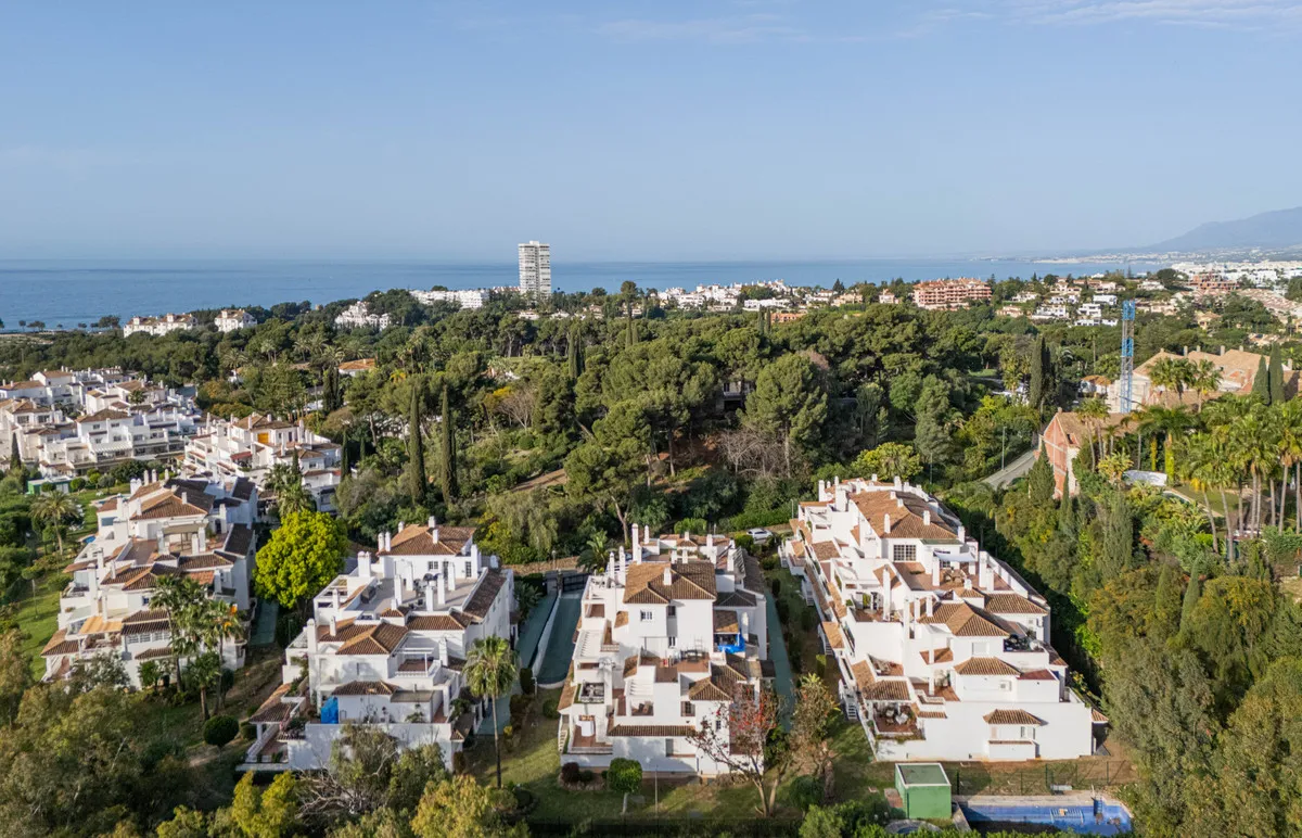 d336c10d-e035-4971-af59-a1057faf9f5a