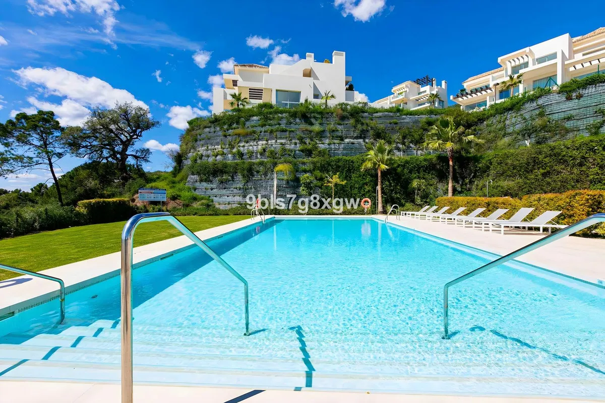 24a9ee49-6347-4937-bfc1-c13757d7cef0