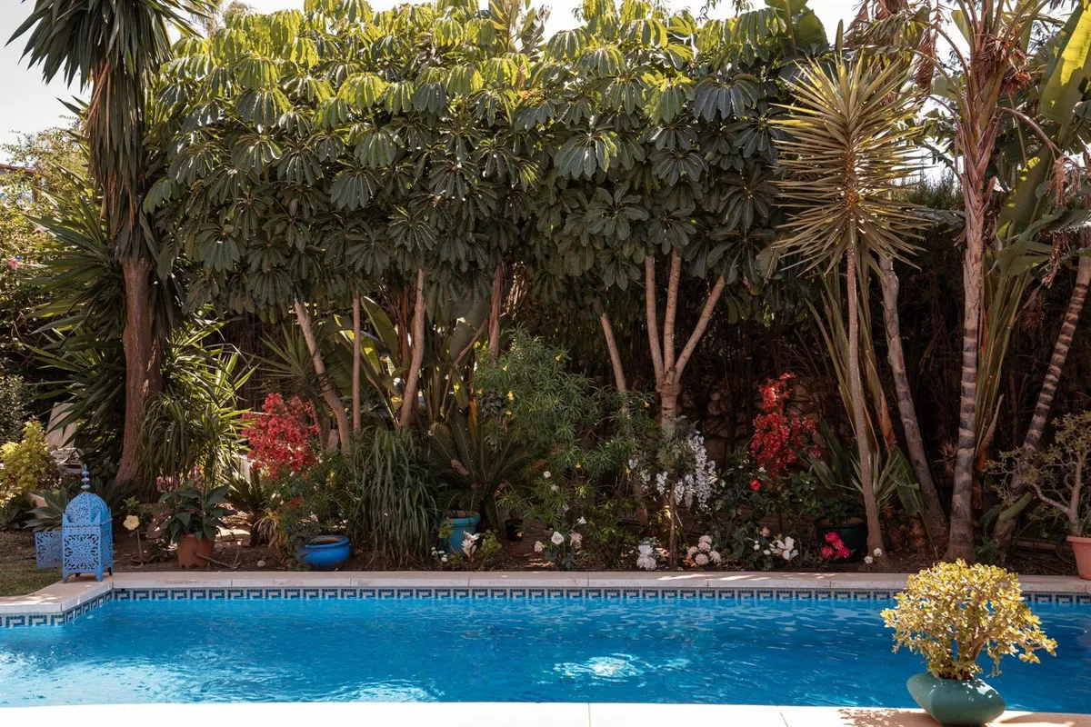 b390691d-9bfb-4d29-8273-facf6f0b4837