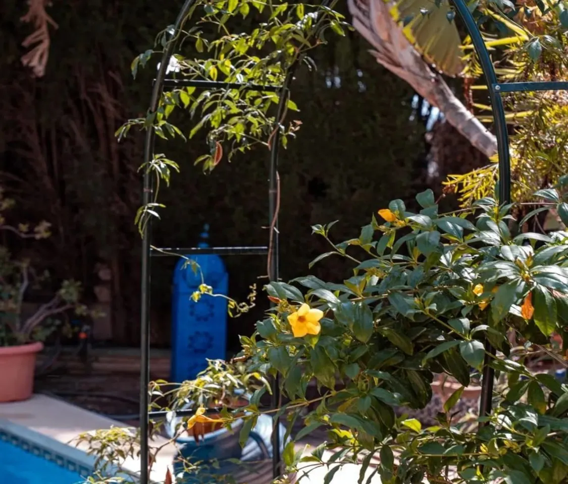 fe58f364-8a99-4fef-b9ab-9af76b994cf9