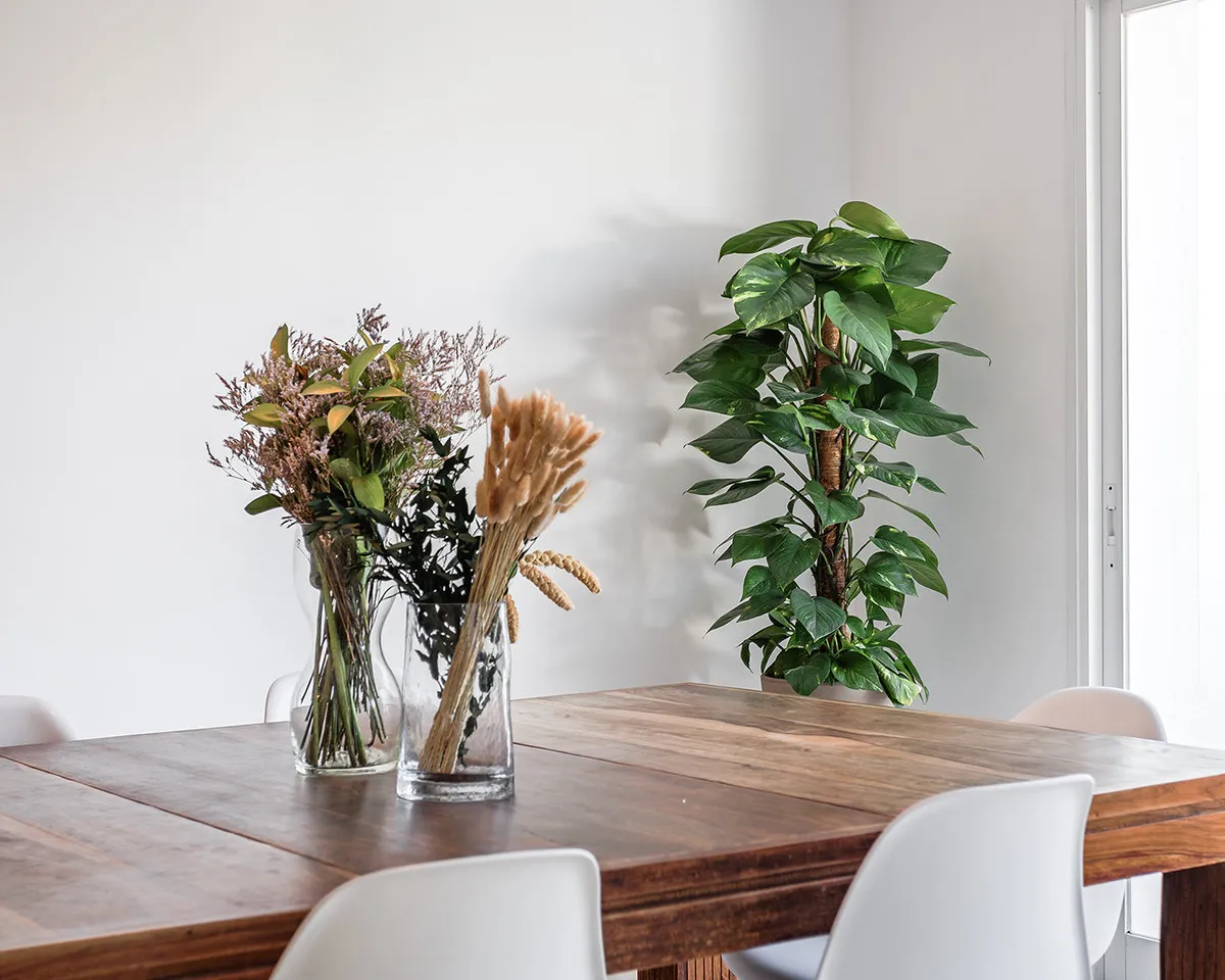 10eb7e06-e5d9-4076-b7ff-bdcd881c535e