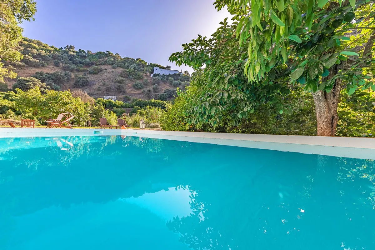 c27fc347-62e4-4632-9749-59a4a92648ec