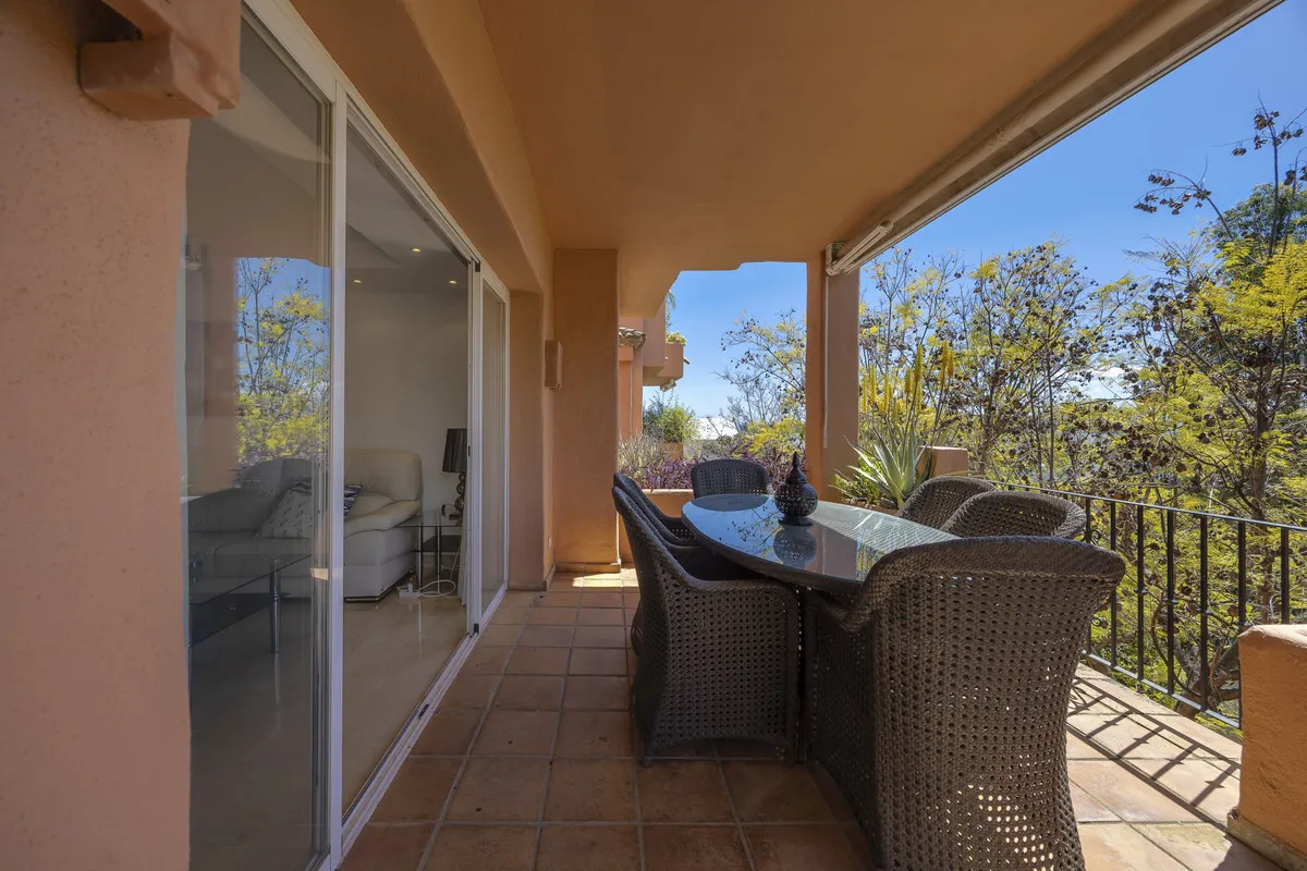 d15ac4d7-8c8a-4ee3-afda-8e8b6d7e9dcc