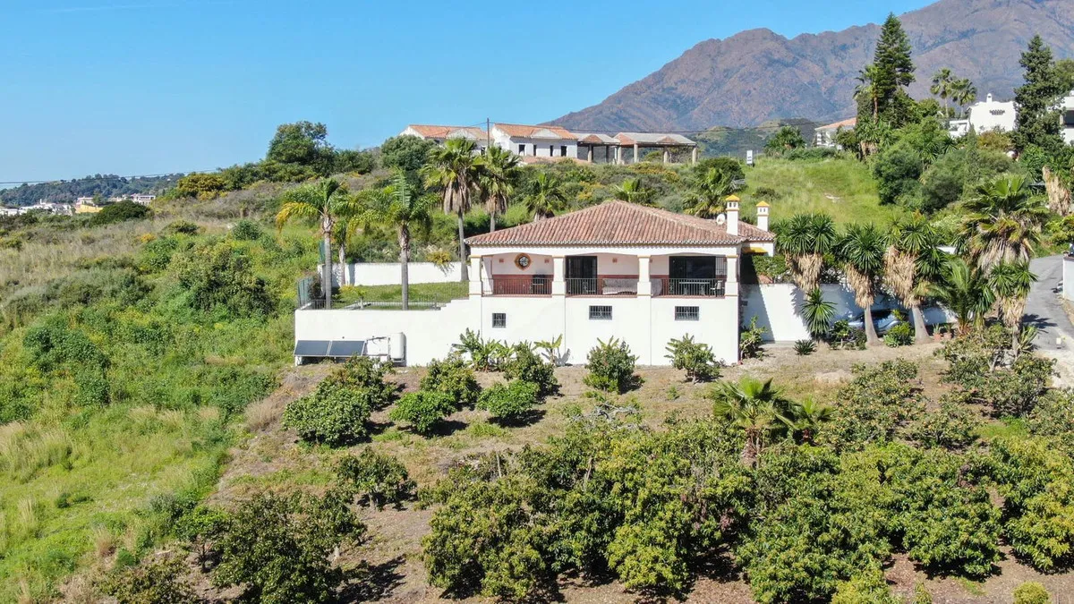 d55e447d-f065-434f-9940-c6582730d5e6