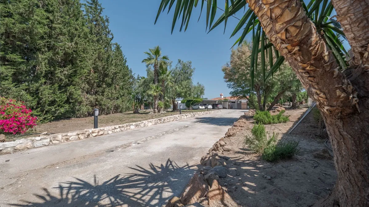 87c40248-65ce-47ec-9999-74b1252db15b