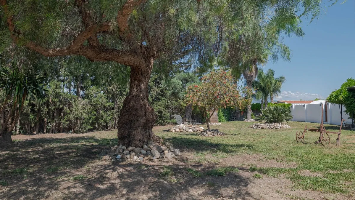 f234d37a-0f1b-4f97-bff0-565836ef8321