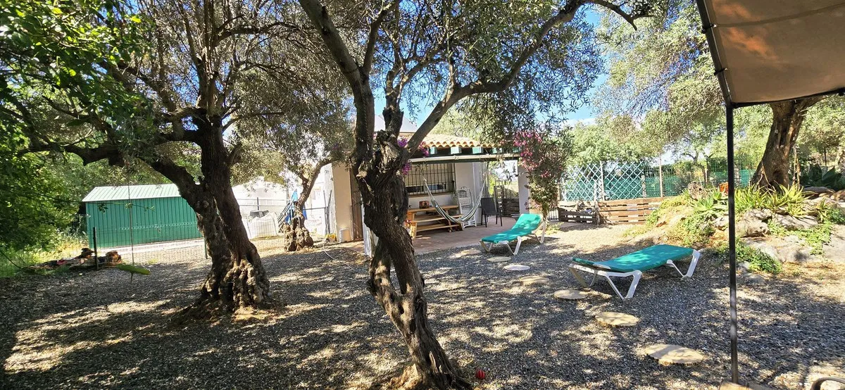 9fed6131-aa4d-421b-8186-8468418898f0