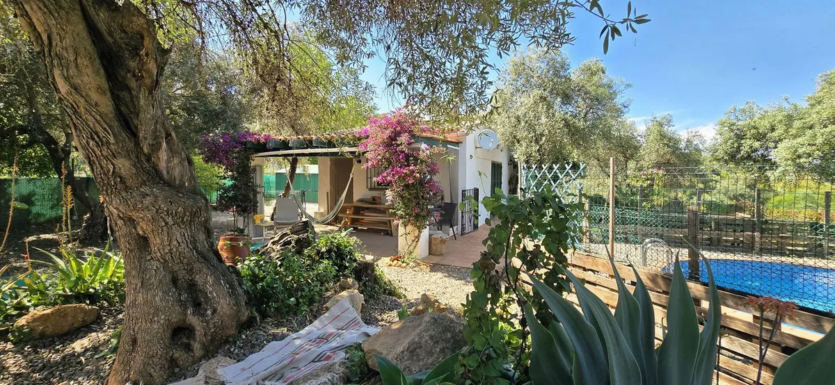 fa16d11f-57de-4e3d-a619-2e0025e9d53f