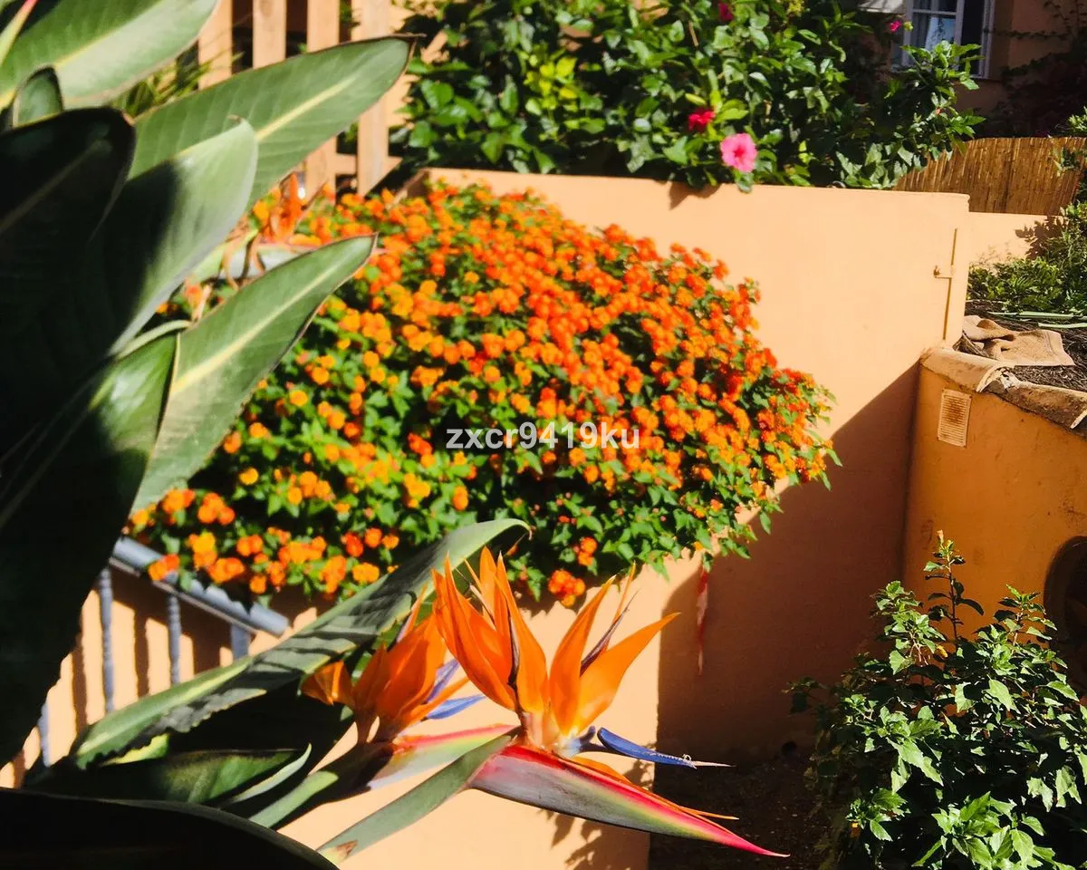 af523d9b-e9d8-4629-9c1a-6026234232c9