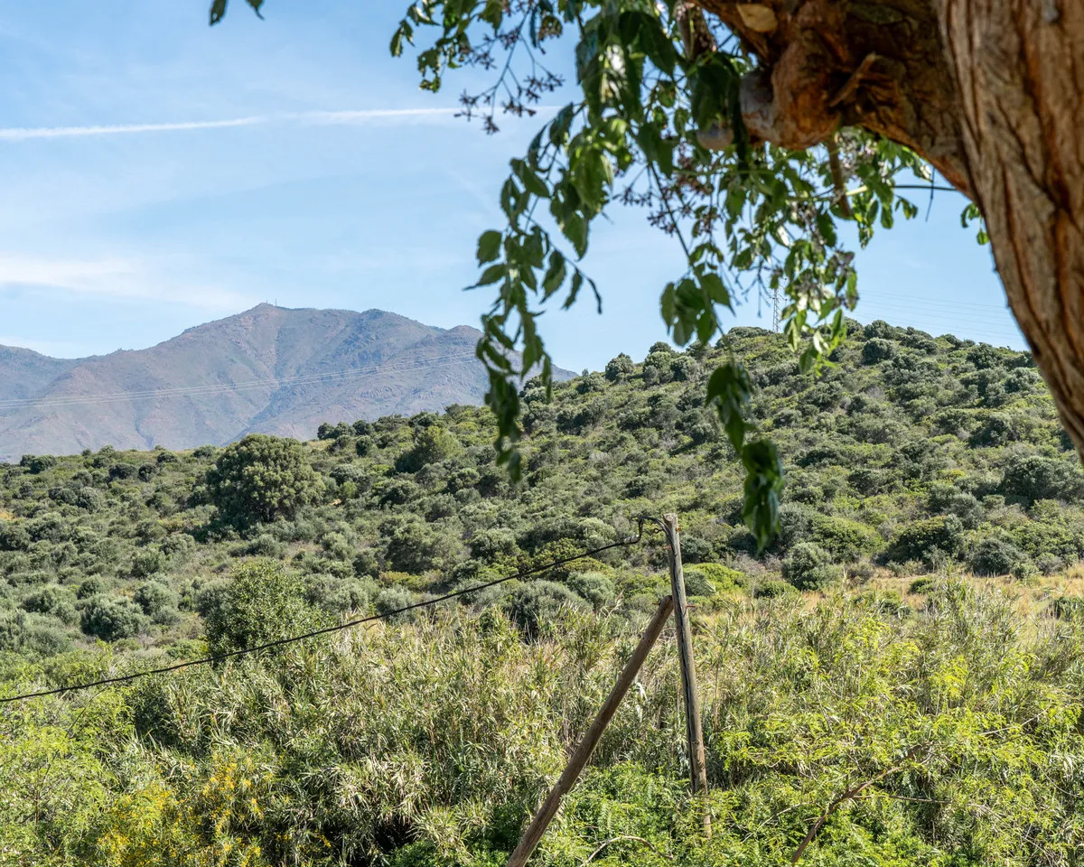 de3da3c1-88f0-48bf-988c-4b0c62284ac0