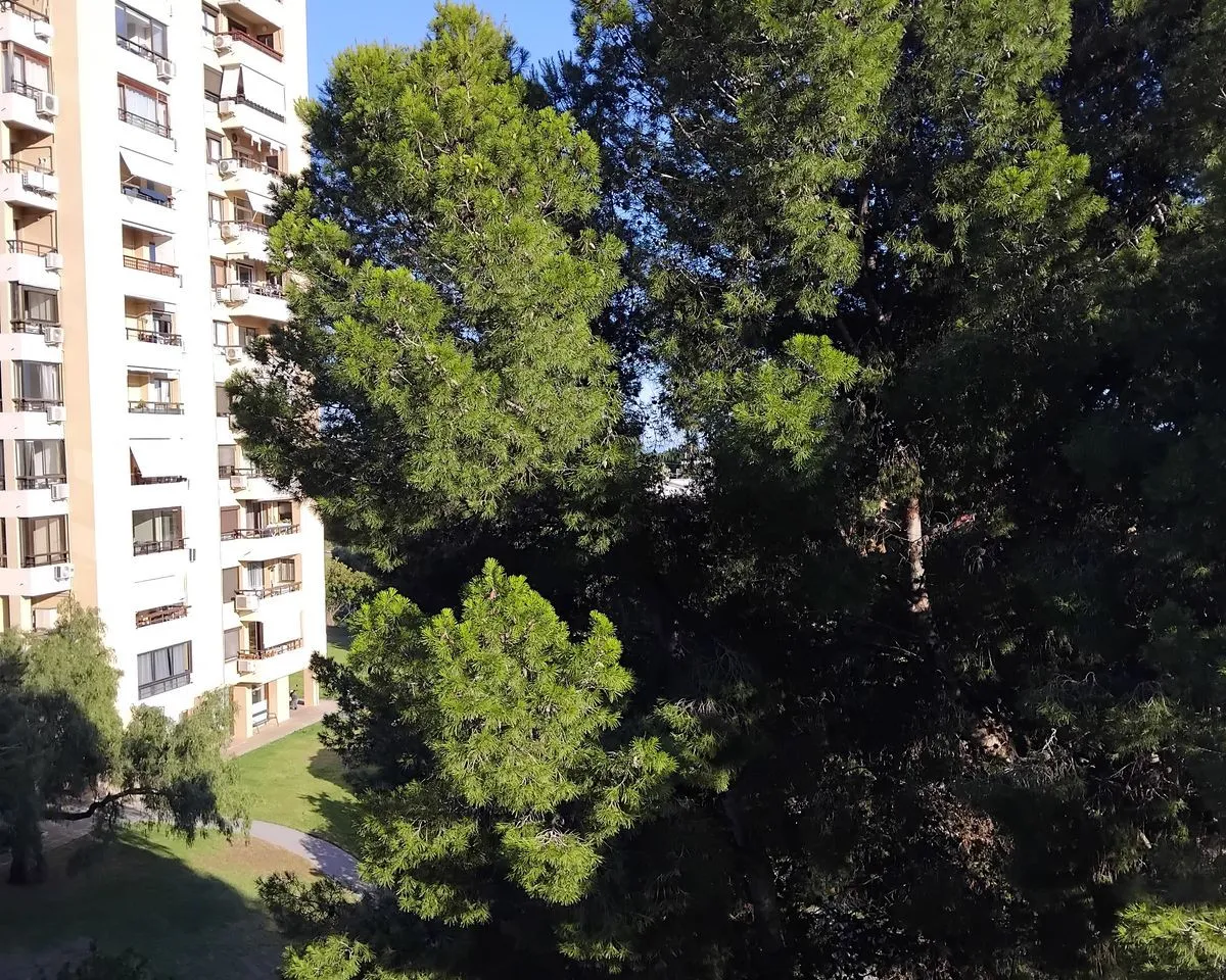 1f67e733-38c2-4e87-8c51-46b9094de64d