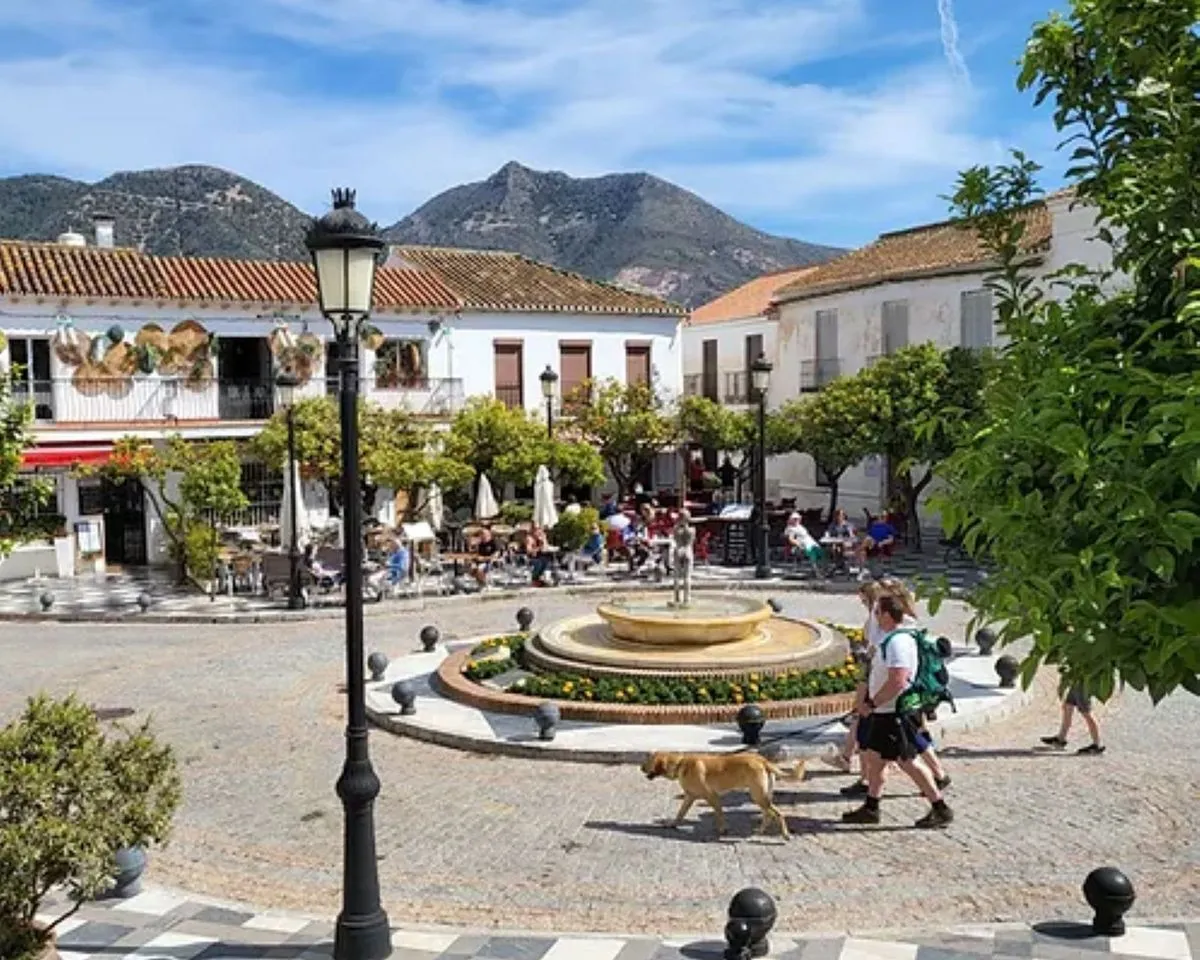 67429dcb-a348-4653-8b6c-a3948487c770