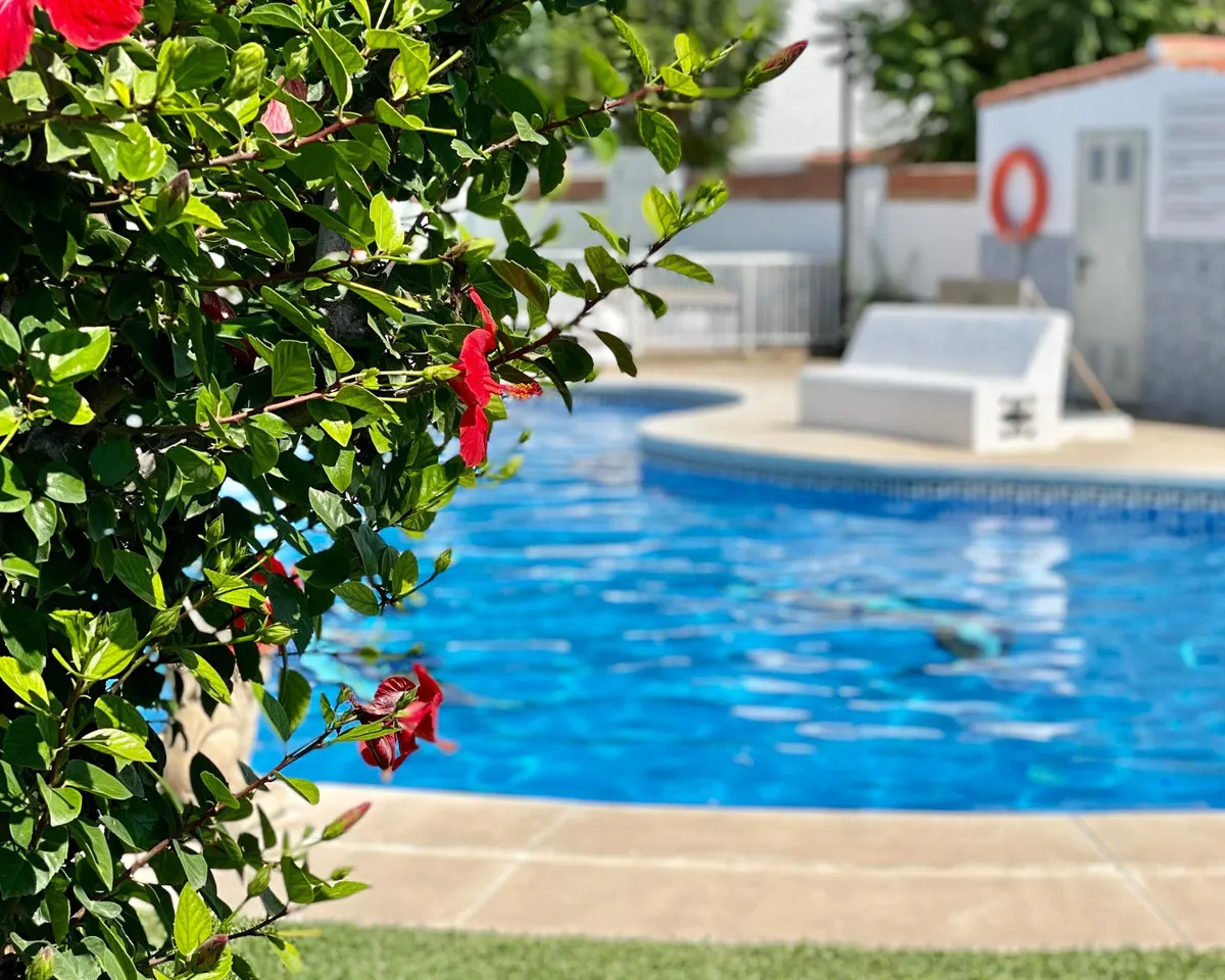 c278cad8-eccd-42e7-b681-18442abd895d