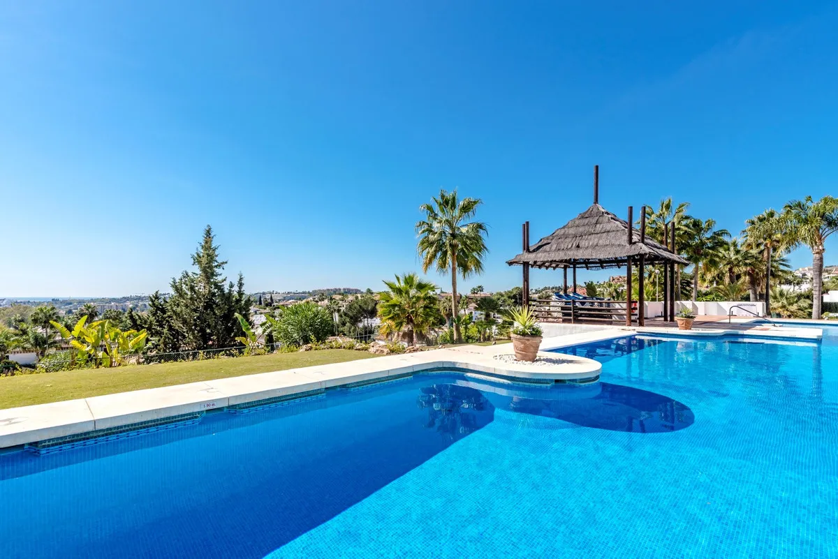 c4af705f-65cc-476f-bbae-7049fd16a6c2