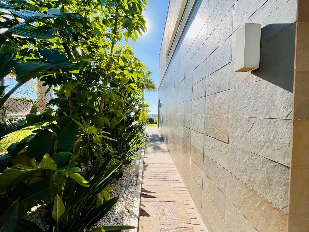 19881555-2a42-4571-94e0-a0201e8efe0e