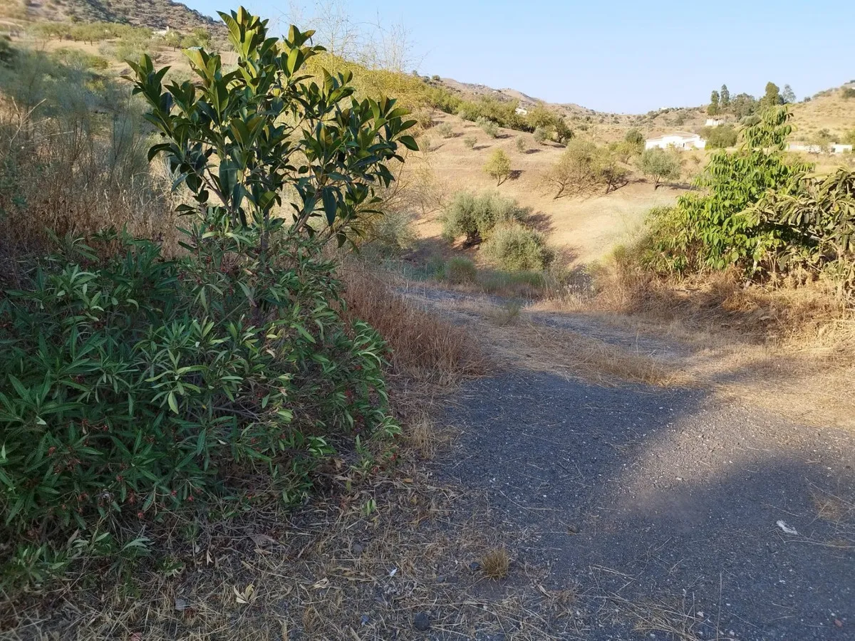 31a17dc6-14fa-4351-ae12-2fd5f69a99e7