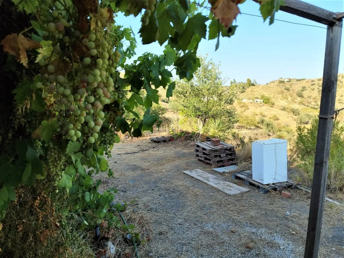 5b47c9bf-0203-4f6b-9d05-8ba3794c7623