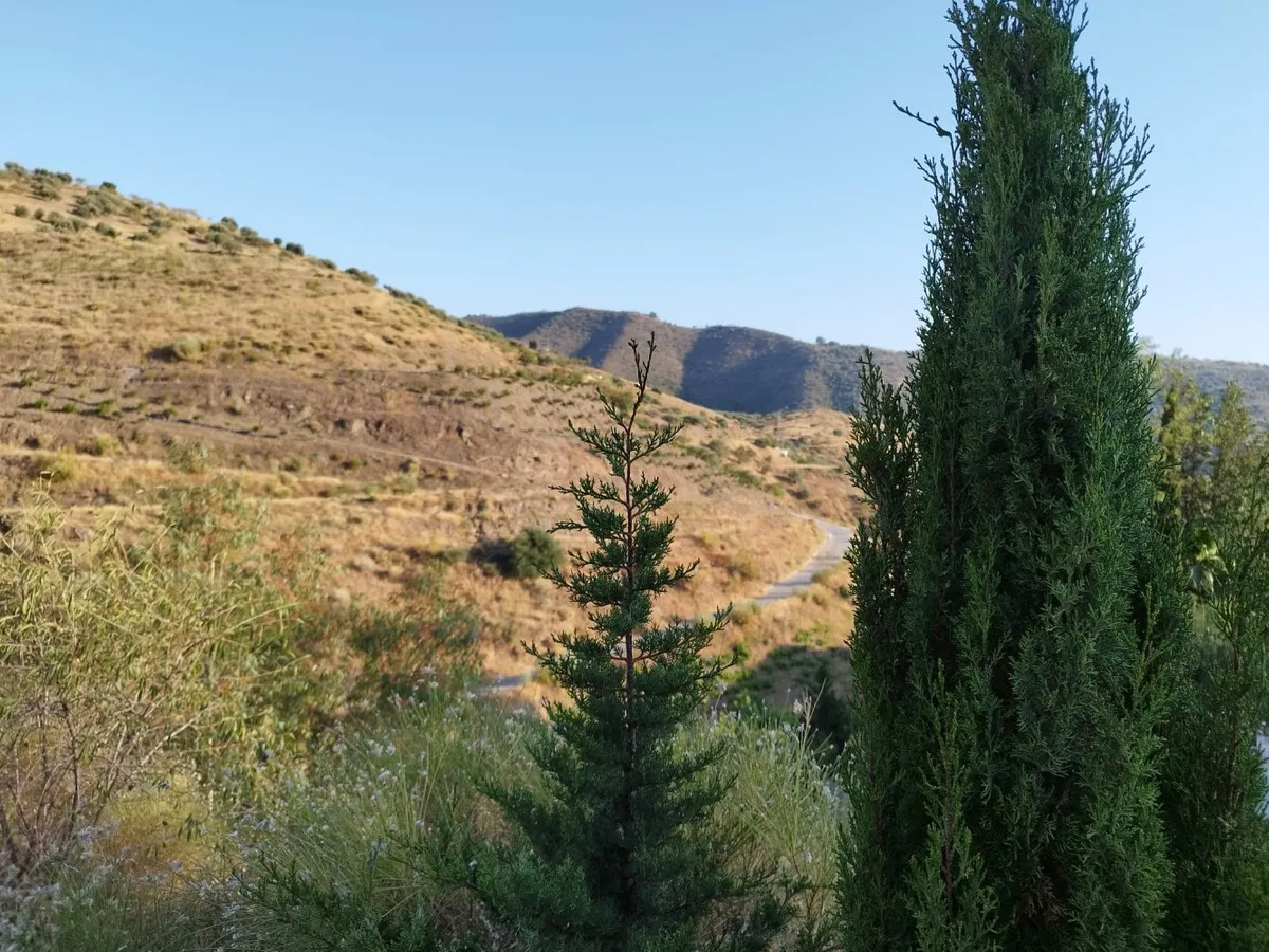 ba23d25d-2fda-44a2-9311-ade459ce5198