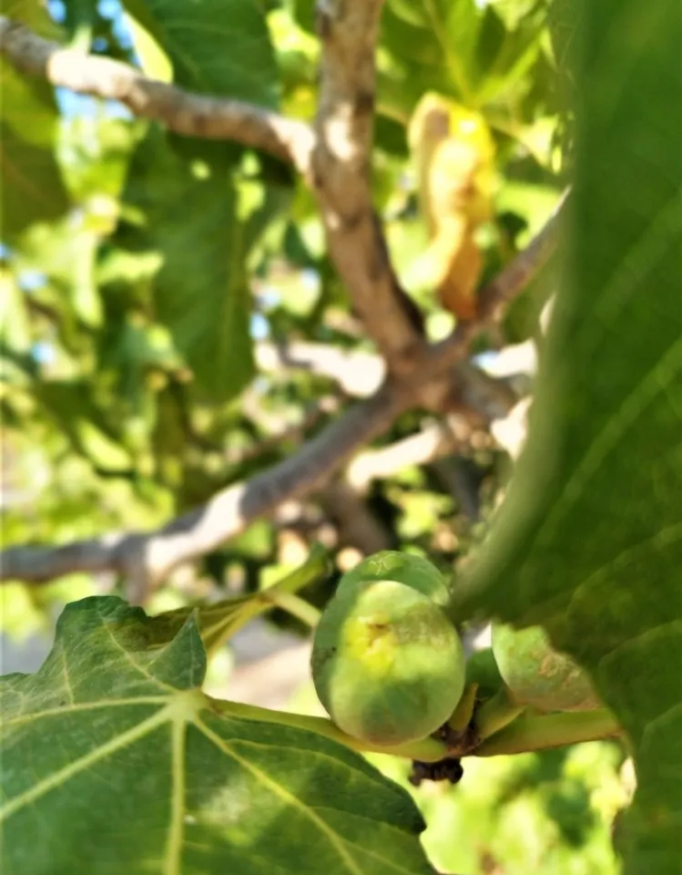 d350449d-d202-4925-bfb8-85c0277bdbab