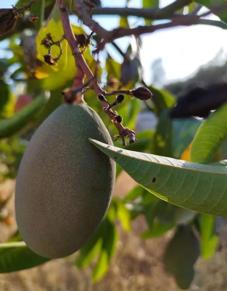 e6df2abf-9543-4d08-9076-b73021286a54