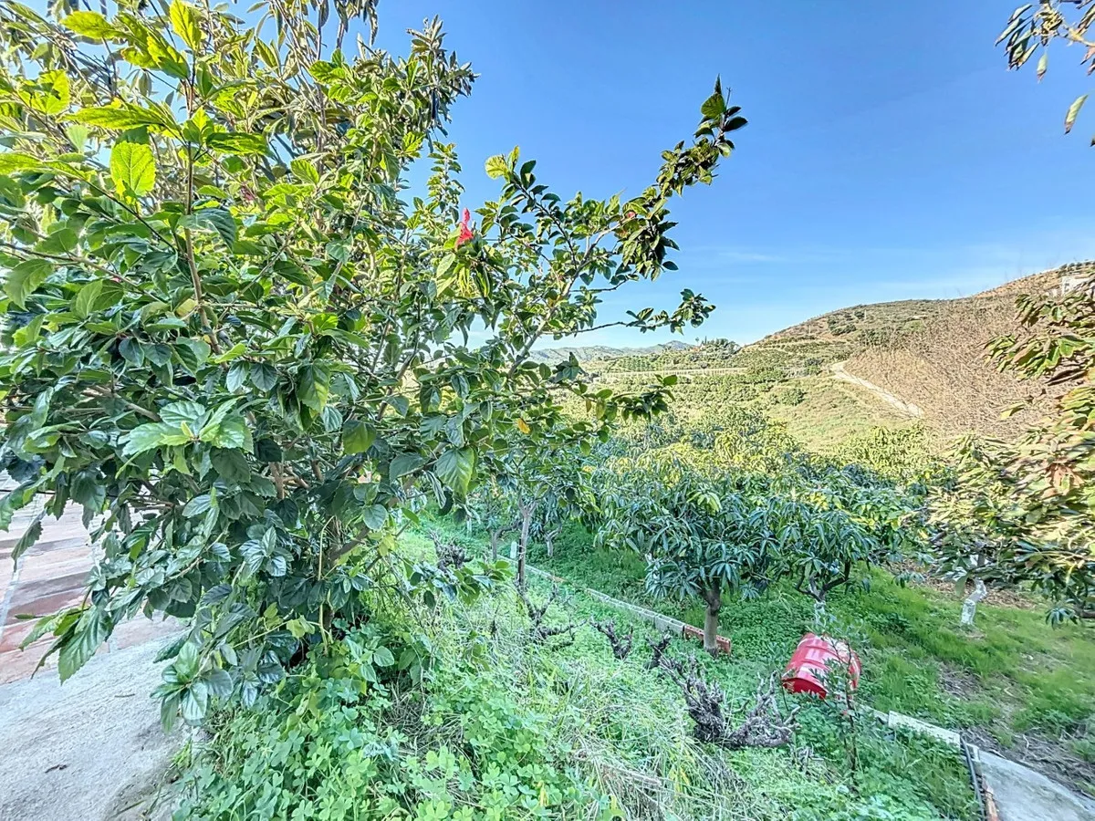 138a2627-0498-456f-8972-0e4c24c3bb00