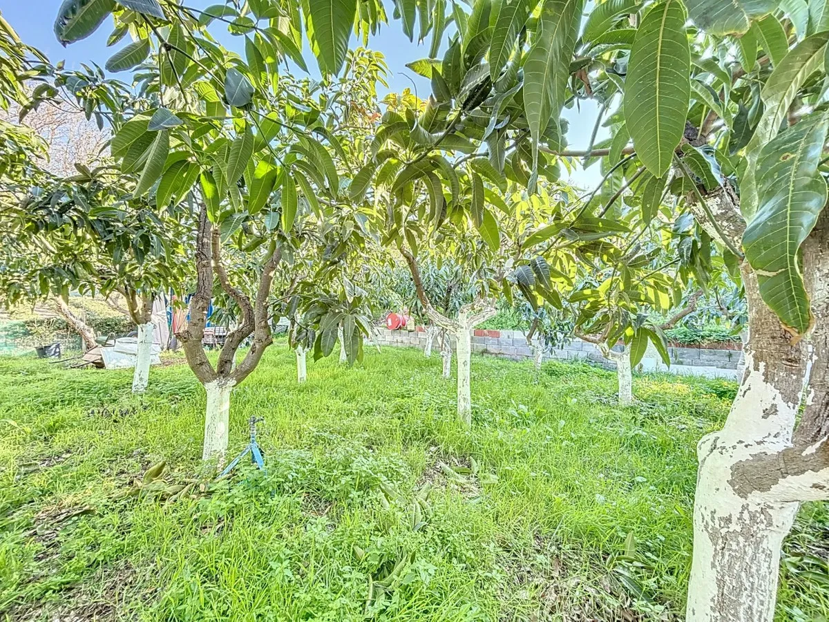 2b5a9609-91f8-4db5-8e17-f77c4a5f023e