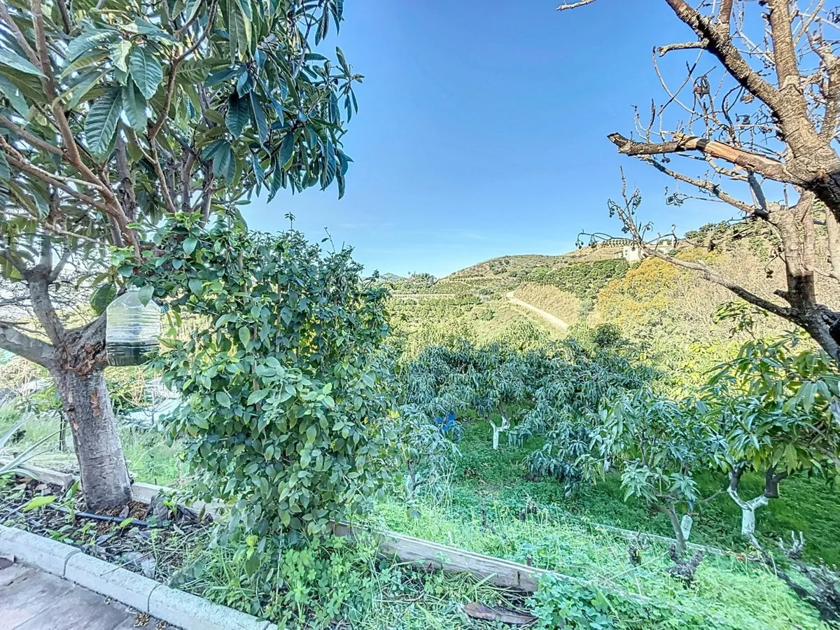 330feaa9-65fc-46d9-b1ff-d03fbbb9970a