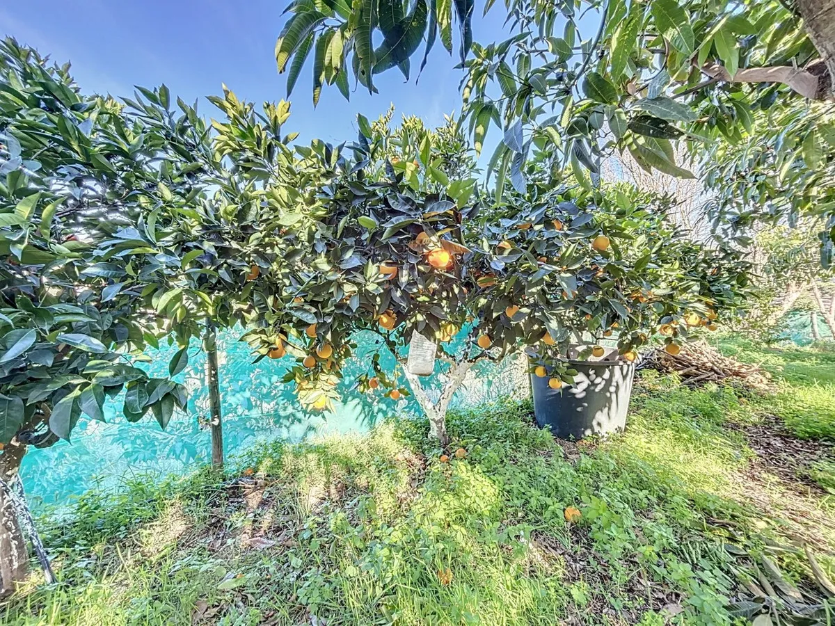 40e26d0c-cd75-4b19-9b13-be8d93b809c9