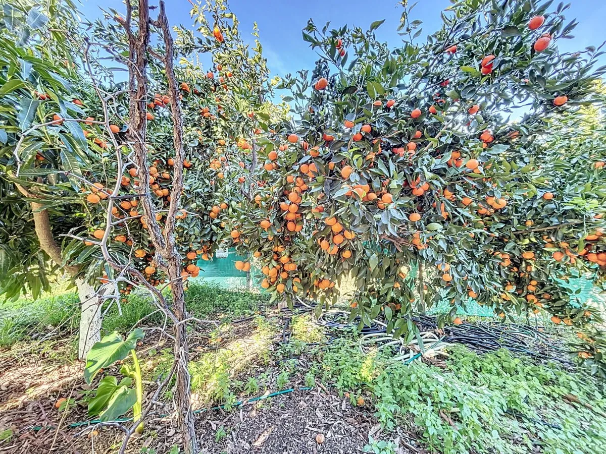 4ad1bdb5-4f01-4f09-8ccb-a448e16e9309