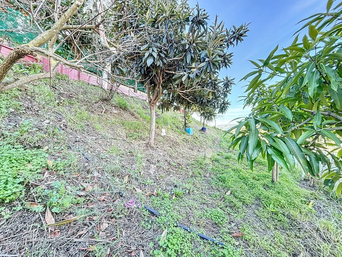 e16e6e6a-7664-4940-80d4-20a8e111d2f6