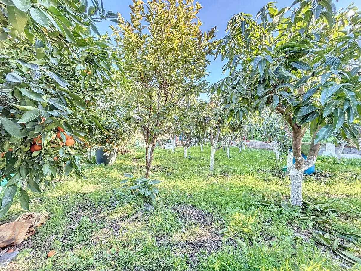 ebb3a8ec-7915-486b-8fd5-55cce6a3ec01