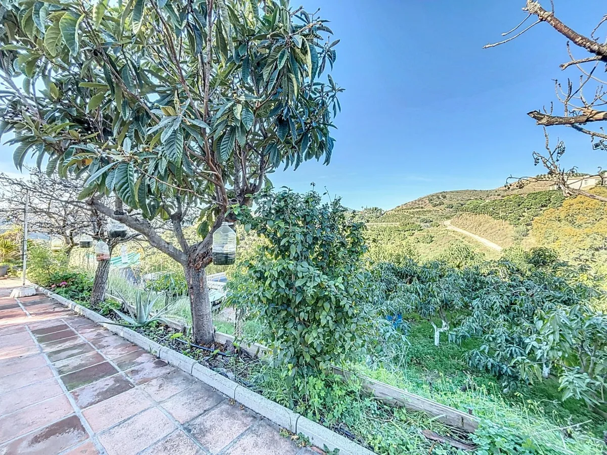 ebd4a329-e346-42d3-b53c-1b85179feef0