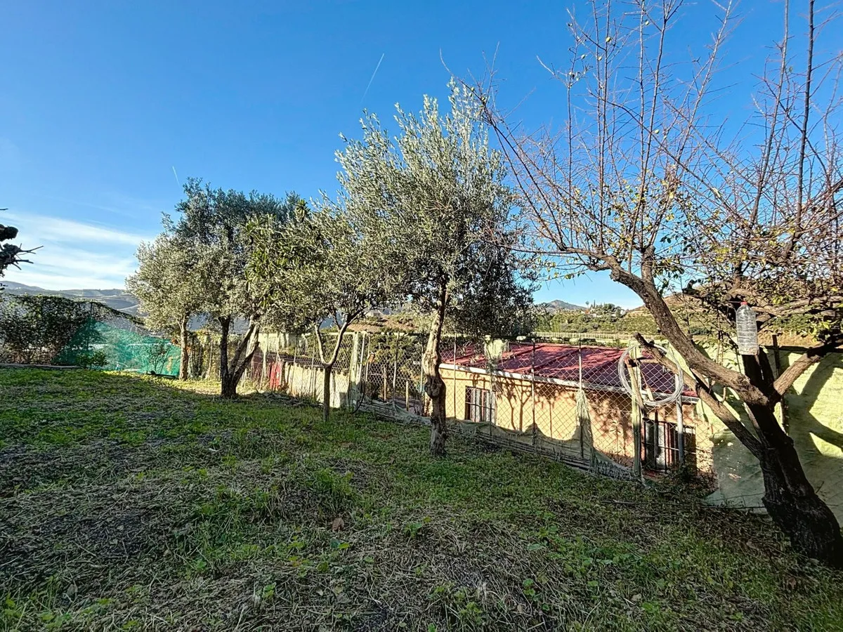 f09524a2-4f33-470a-88e9-406bdcb40f76