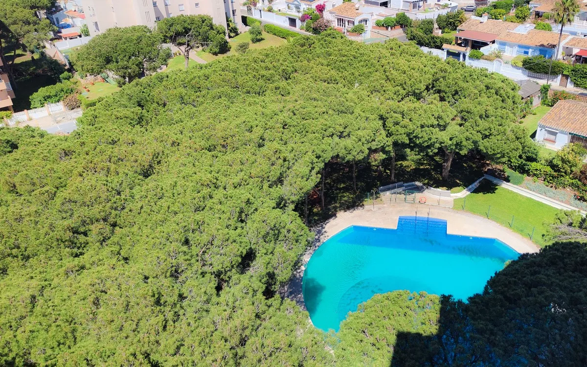 a62bc374-9edc-4f12-8026-c629e716519c