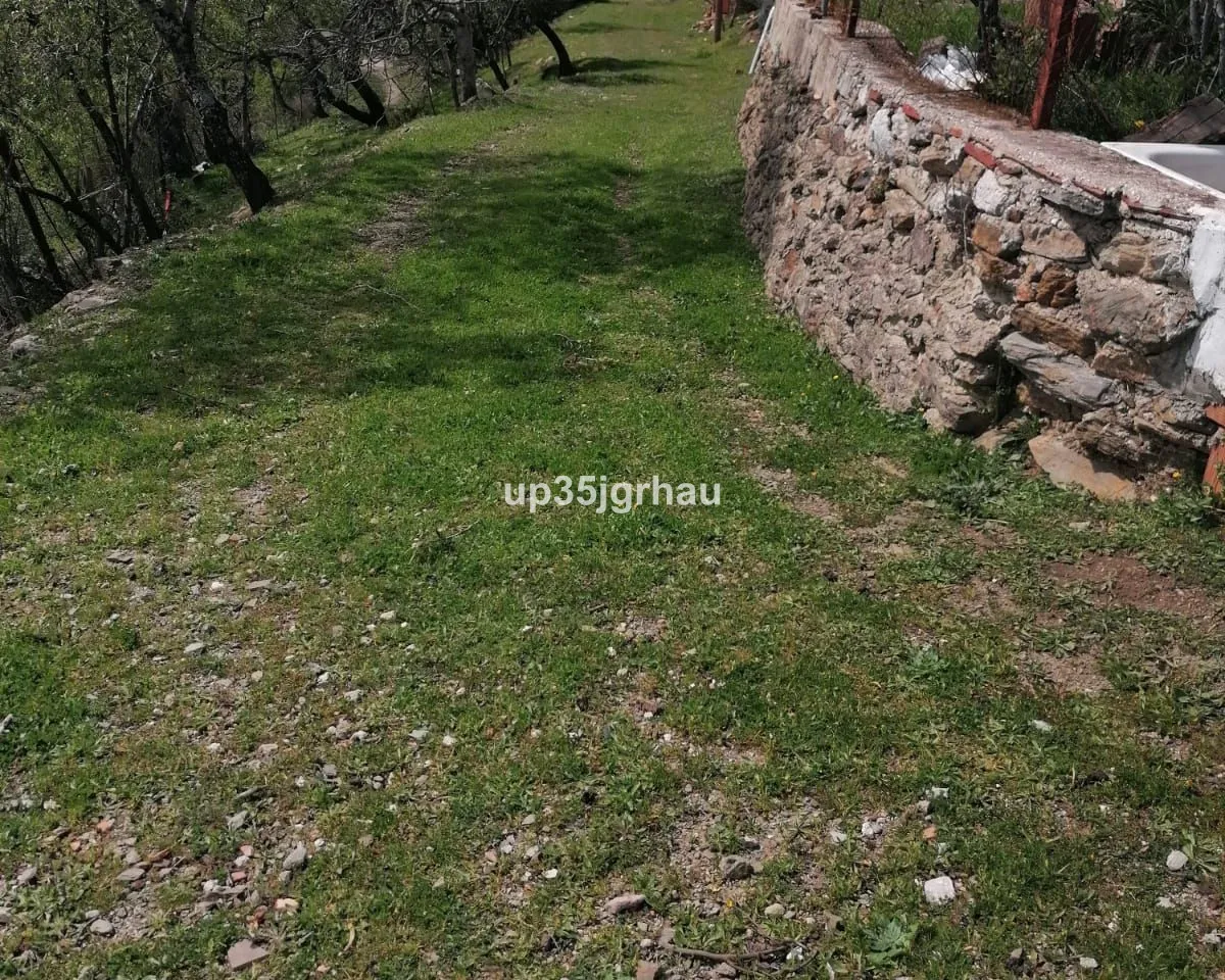 e012c2de-8157-418e-9928-227427df6303