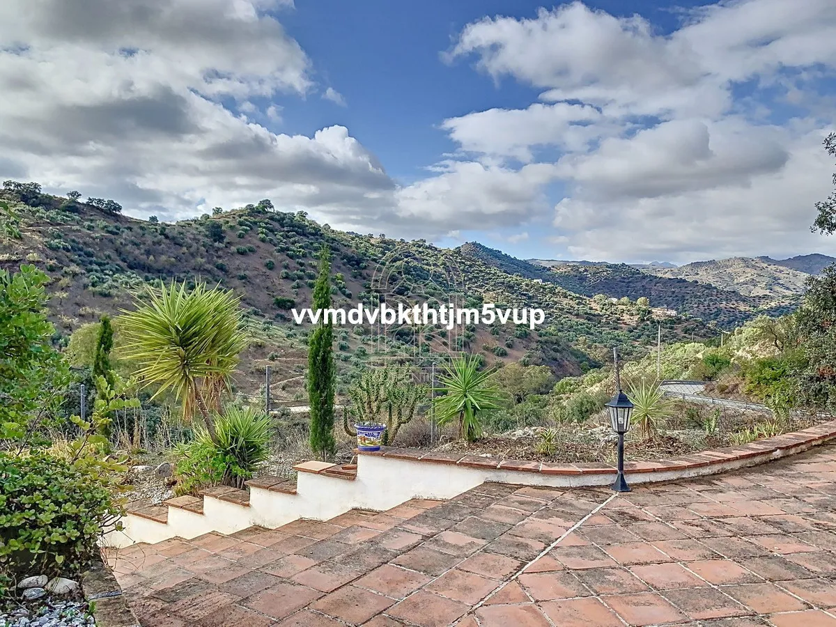 2b04f736-f73c-4f47-bb78-1f43217ed524