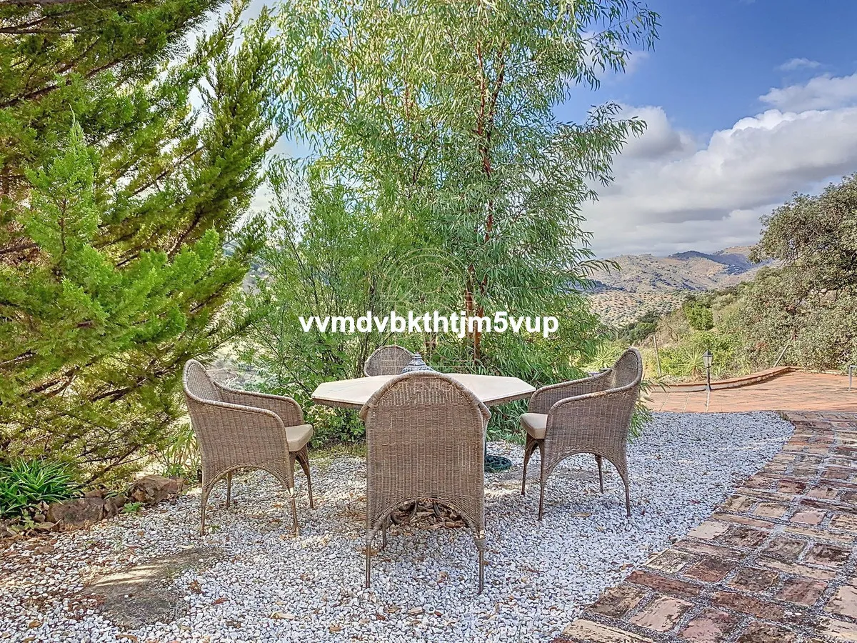 45c71d57-fd1c-40f3-bd4f-24979dd9b0e0