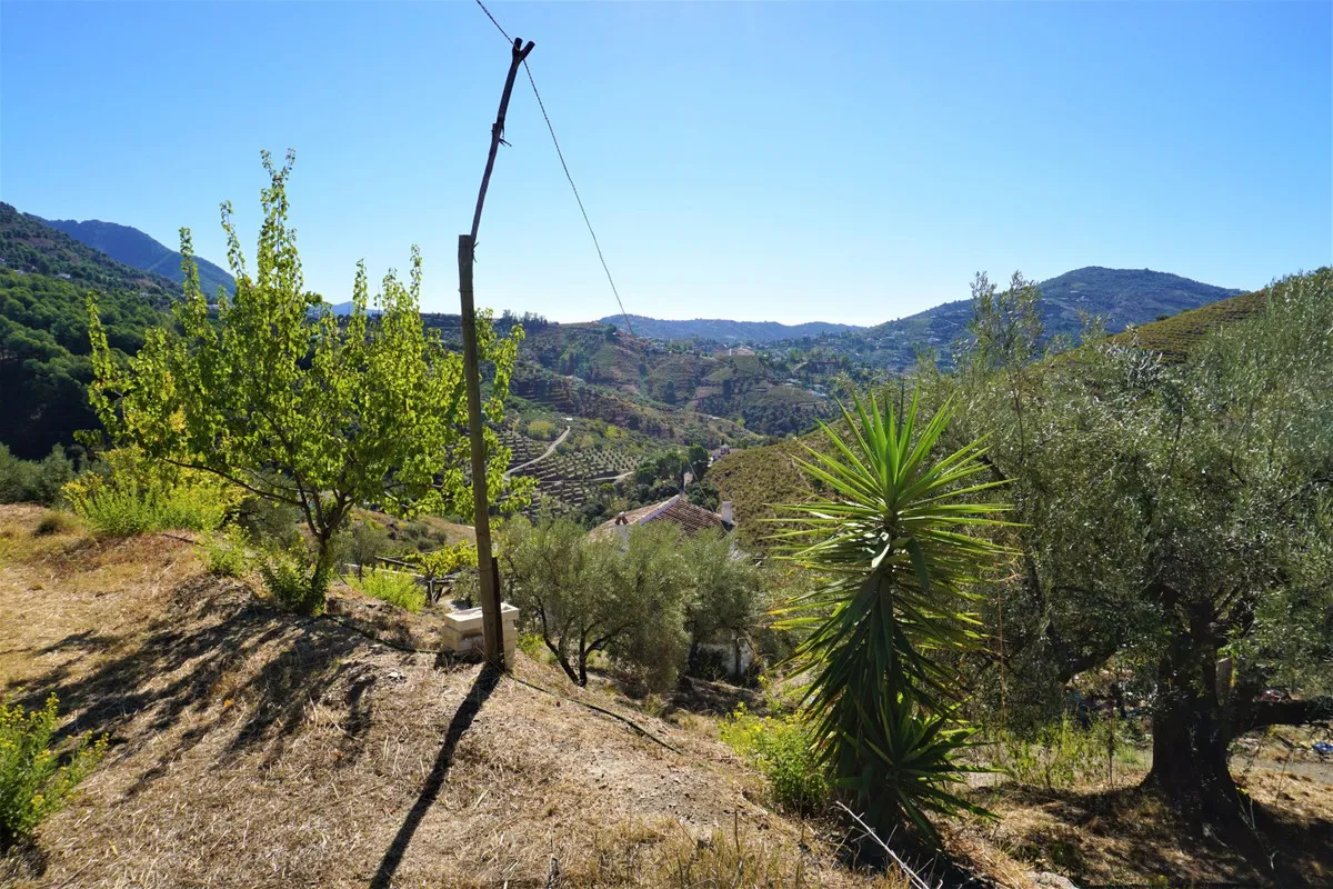 cc63bc90-e590-4718-b1d1-c3d0f98db727