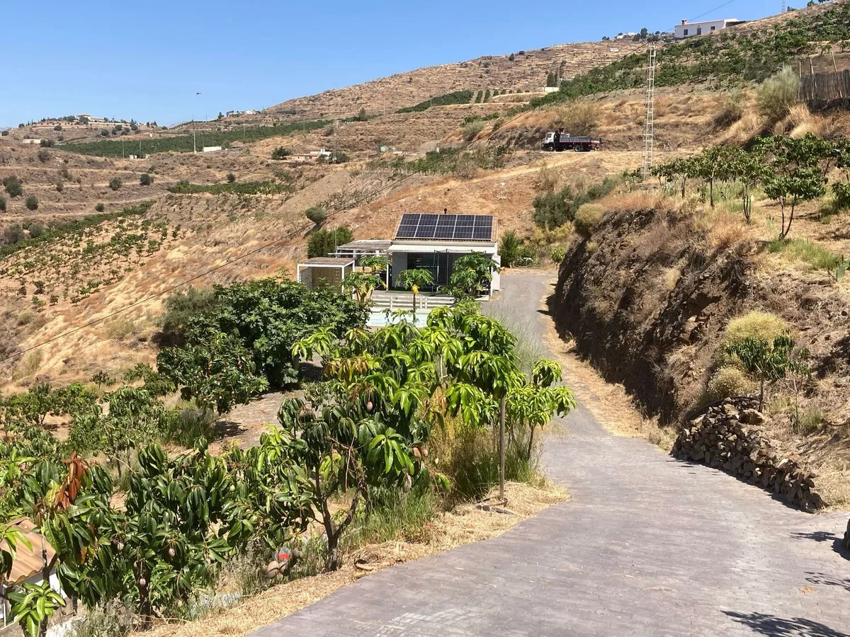 99ca50a8-0512-4be5-b3ea-73026de764ef