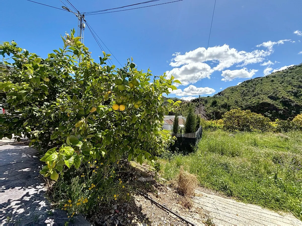 2a7b48b7-9bee-452d-85cb-4f6f5eb356dd