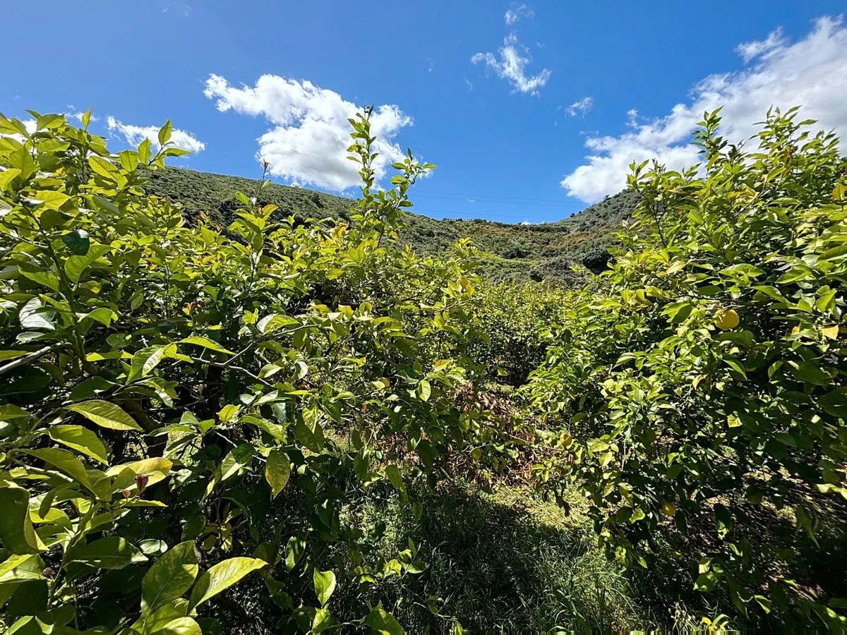 2e3f3336-71e3-4d25-91ec-02905bfc997a