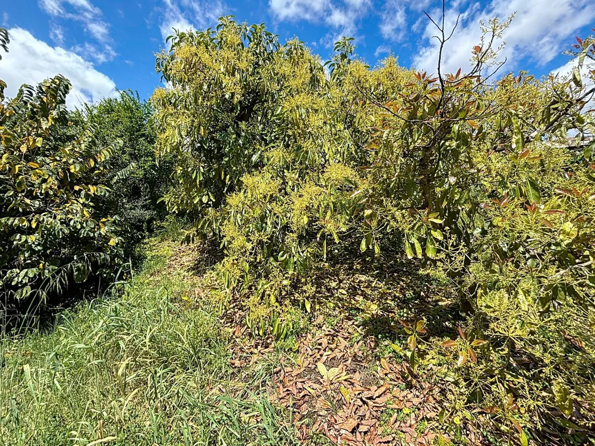 5400ed02-f810-447c-8b10-0eed6903562c