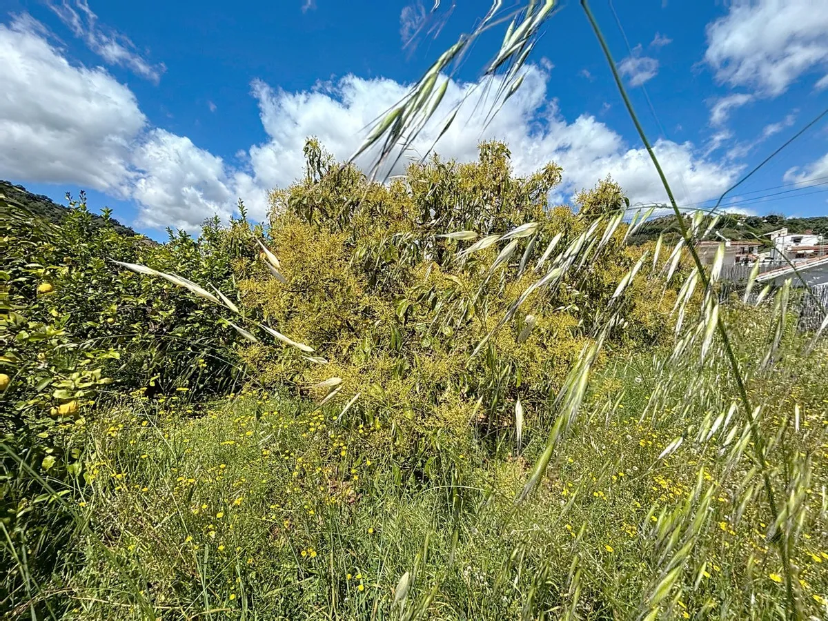 58bff108-ced2-41d2-80d5-4591aad4858a