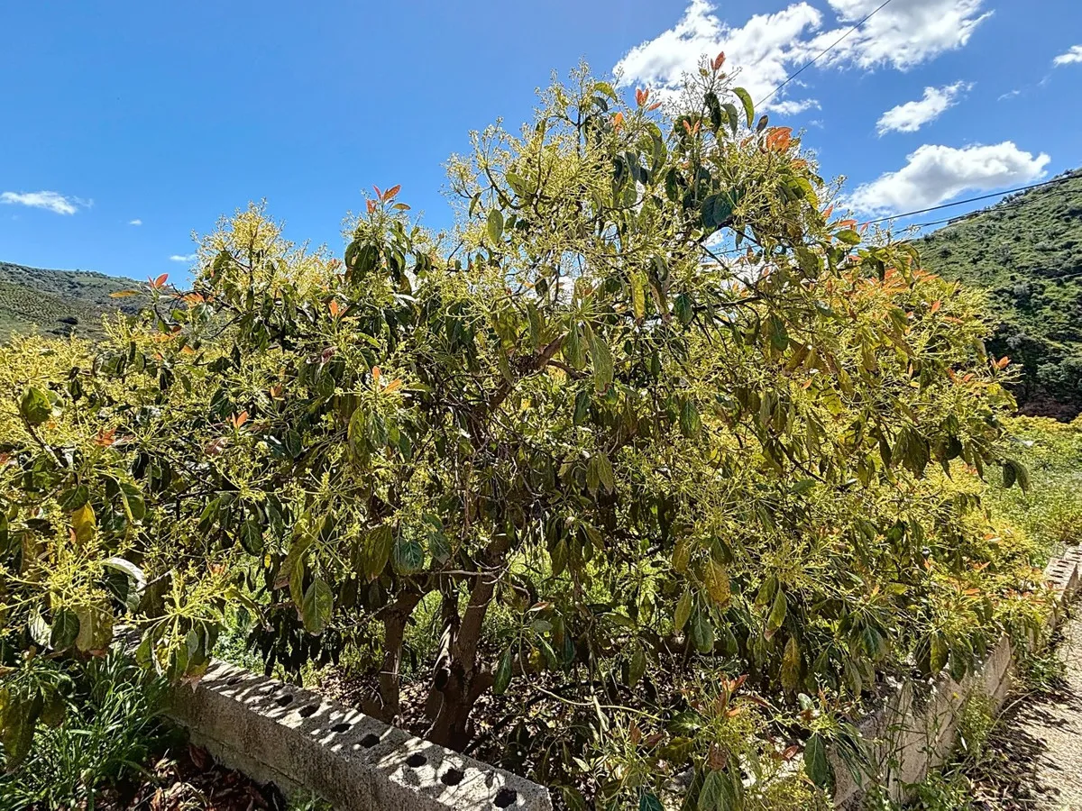 6cbb6d2a-192a-48f3-bcc1-afee71209f9b