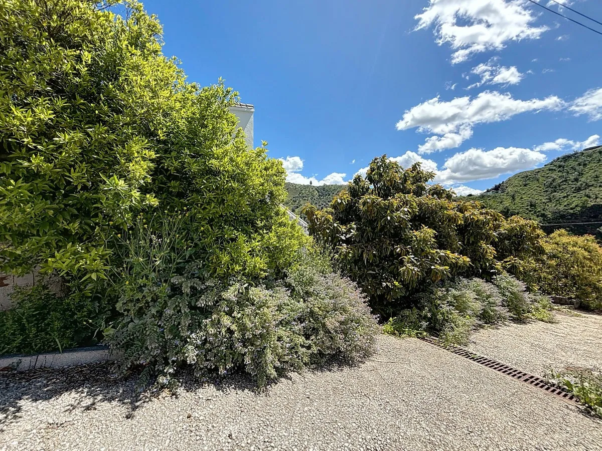 c1f8a482-57a1-4123-b56f-ab51534673f2