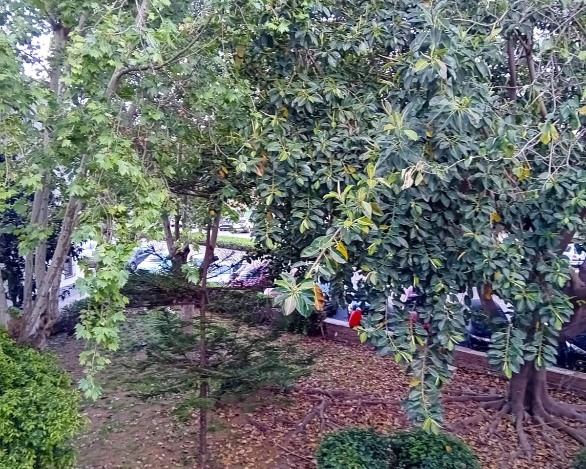 6b0485c0-11a2-43ae-ba4b-e414f1eb17bc