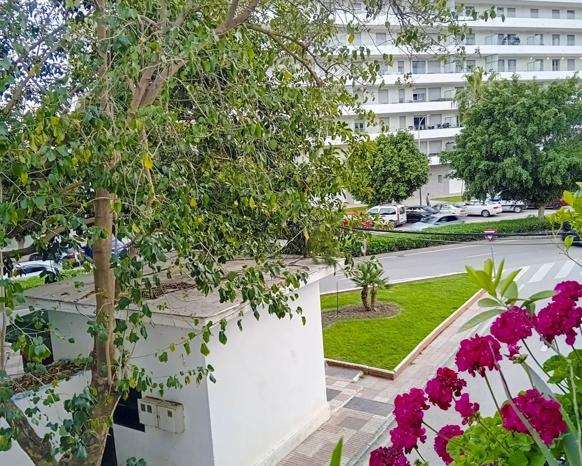 8a0a92d9-b291-41ce-884b-05efed0c17d2