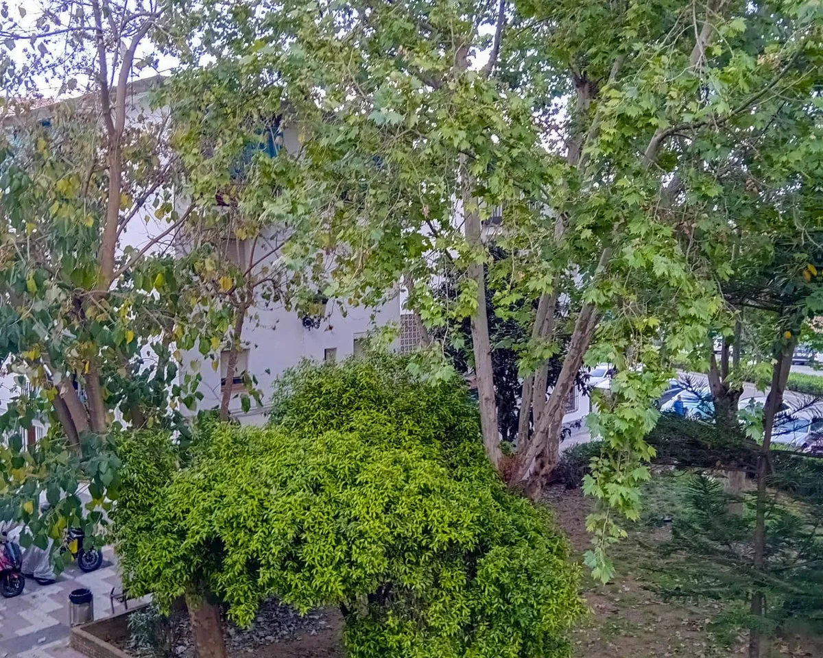 a46ad1c3-7ee6-4d93-b87b-8ff4f2ad50ca