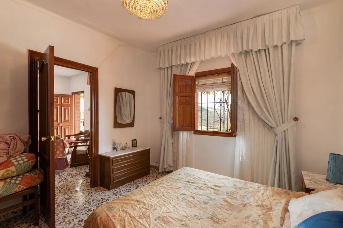 1b966d03-e5f4-4609-a098-eaf1cf4d19b4