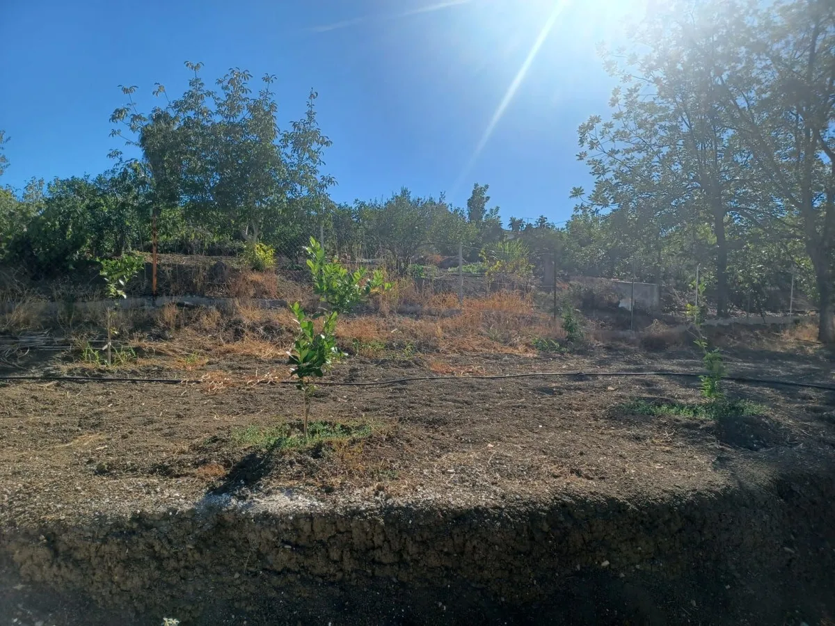 bd5bd32a-8042-4412-9715-0c4d005949d9